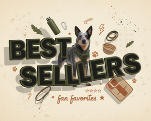 Collection image for: Best Sellers