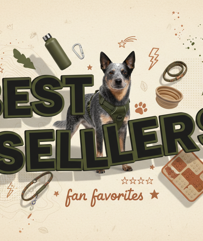 Best Sellers