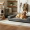 All Pet Supplies