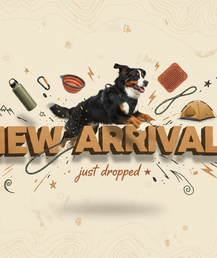 New-Arrivals 