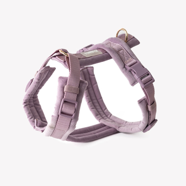 Purple dog harness on a white background
