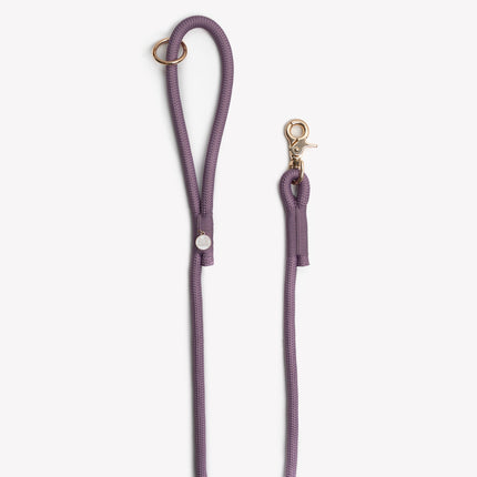 Purple rope dog leash with gold clasp on a white background