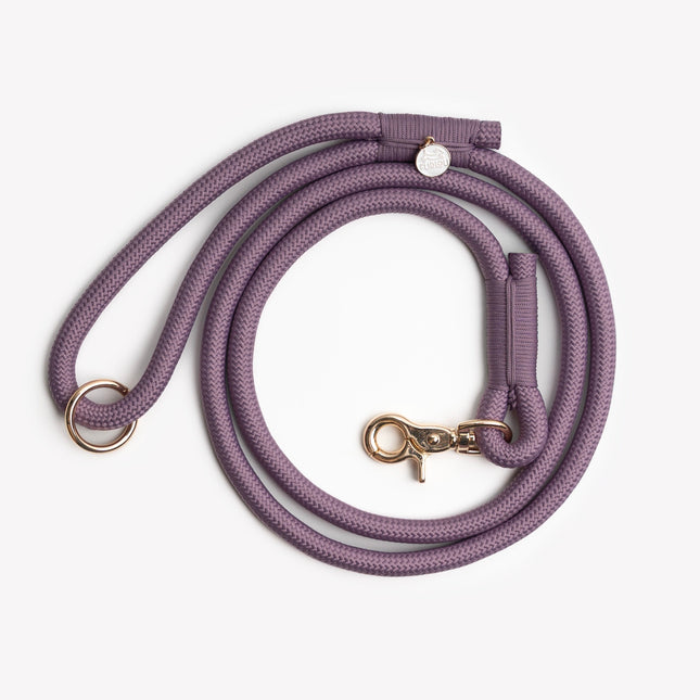 Purple dog leash with gold hardware on a white background