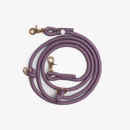 Purple dog leash with gold hardware on a light gray background