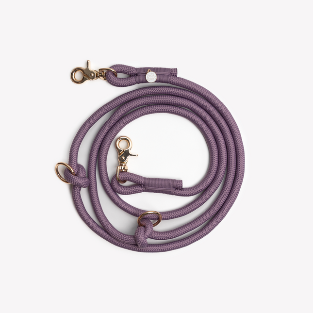 Purple dog leash with gold hardware on a light gray background