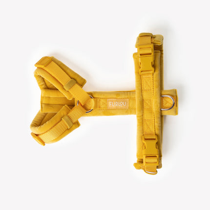 'Yellow' - Velvet Dog Harness