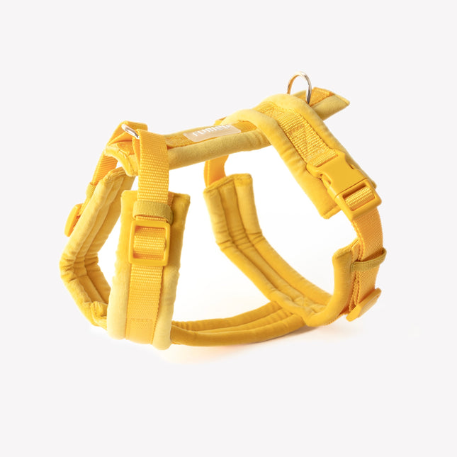 Yellow dog harness on a white background