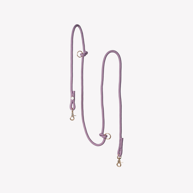 Purple dog leash with gold hardware on a light purple background