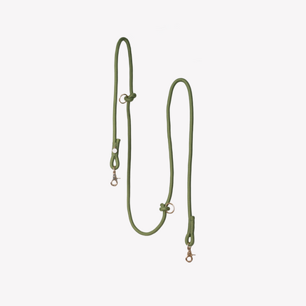 Green dog leash on a light gray background