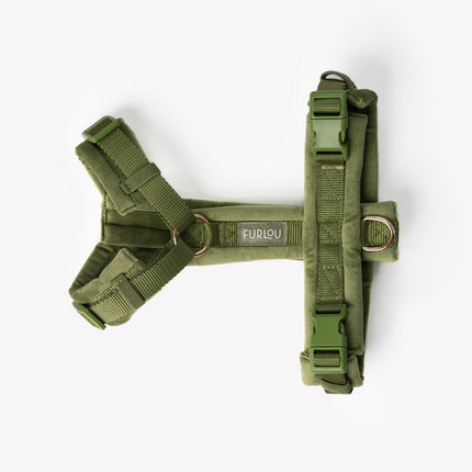 'Green' - Velvet Dog Harness