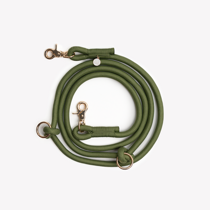 Green dog leash with gold hardware on a white background