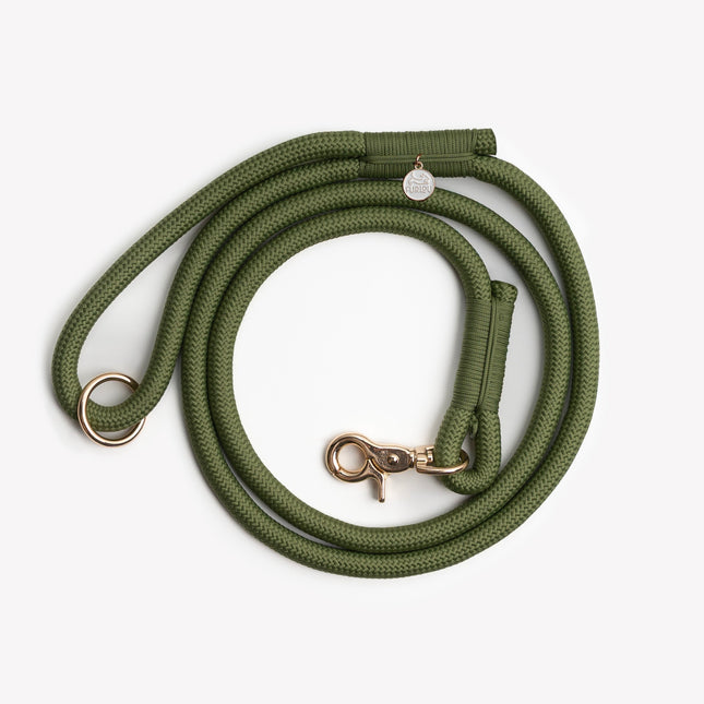 Green dog leash with brass clasp on a white background