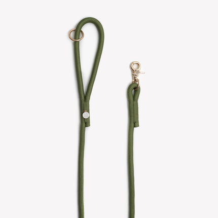 Green dog leash with gold clasp on a white background