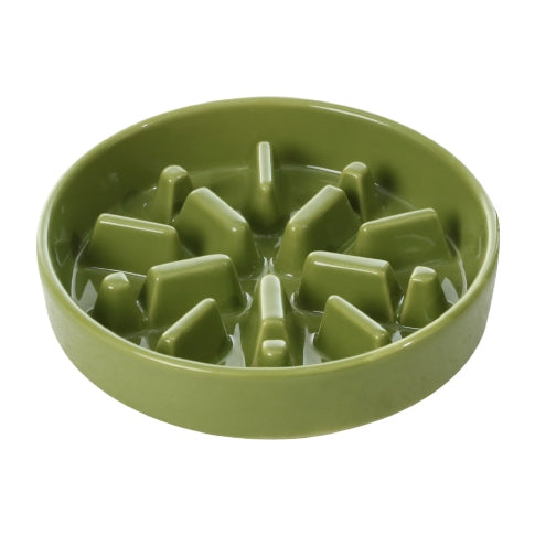 Green dog food bowl with raised sections on a white background
