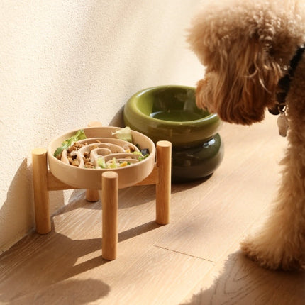 Dog looking at a wooden stand with a bowl of food and a green water bowl on a wooden floor.