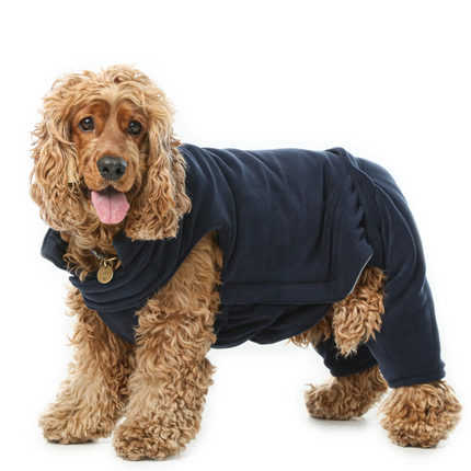 Dog wearing a navy blue fleece onesie on a white background