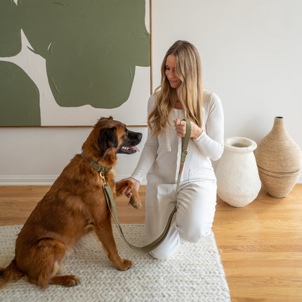Woman in a white outfit sitting on the floor with a brown dog, holding a green leash.