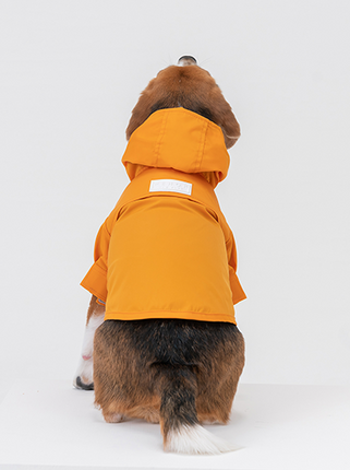 Dog wearing an egg yolk yellow raincoat on a white background
