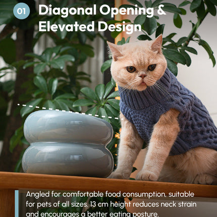 Cat wearing a blue sweater sitting next to a white ceramic product with greenery in the background