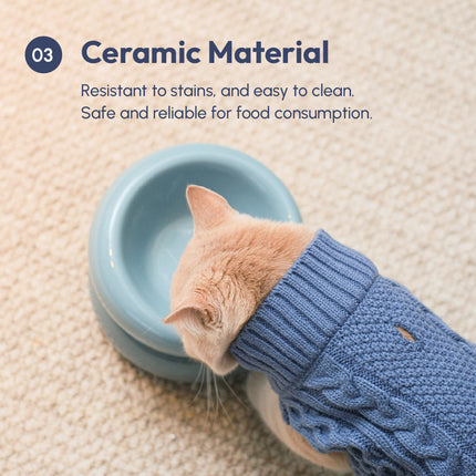 Cat wearing a blue sweater interacting with a ceramic bowl on a beige surface