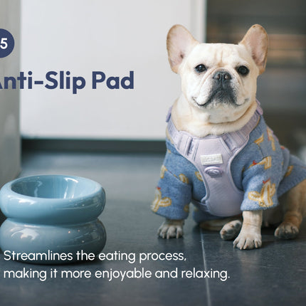 Dog wearing a sweater sitting next to a blue bowl on a reflective surface with text about an anti-slip pad.