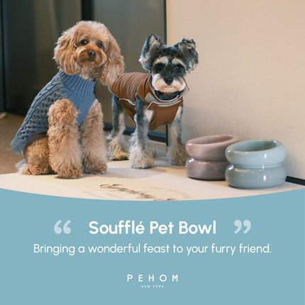 Two dogs wearing sweaters with 'Souffle Pet Bowl' and 'PEHOM' branding in the foreground.