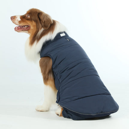 Dog wearing a navy blue winter coat on a white background