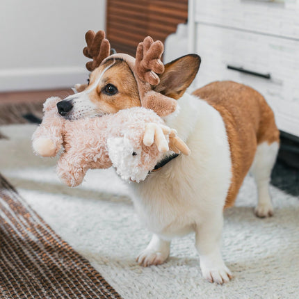 Dog playing with a plush toy shaped like a deer in a home setting