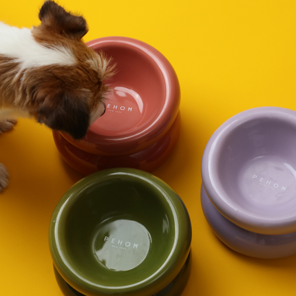 Dog drinking from a pink pet bowl with green and purple bowls stacked around on a yellow background.