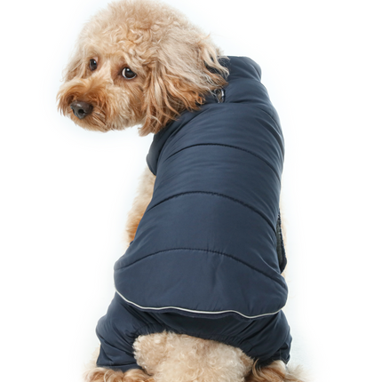Dog wearing a navy blue winter coat on a white background