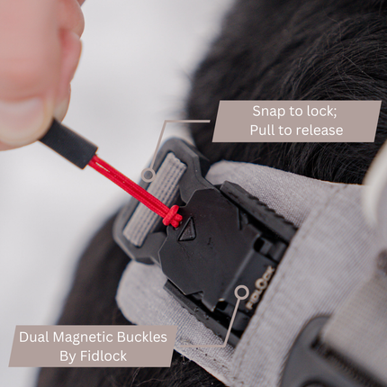 Close-up of a dual magnetic buckle being used on a bag, with text indicating how to operate it.