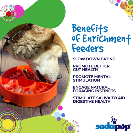 Dog interacting with an orange enrichment feeder on a wooden surface, with text listing benefits of enrichment feeders.