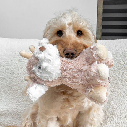 Dog holding a plush toy with a white and pink design on a light-colored surface.