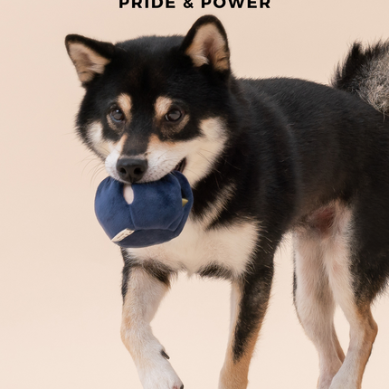 Dog holding a blue plush flower toy with text about flower meanings and a product name