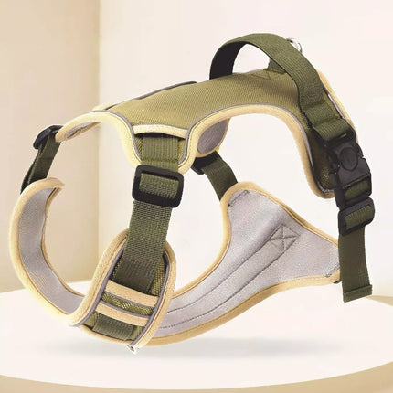 Green dog harness on a light beige background