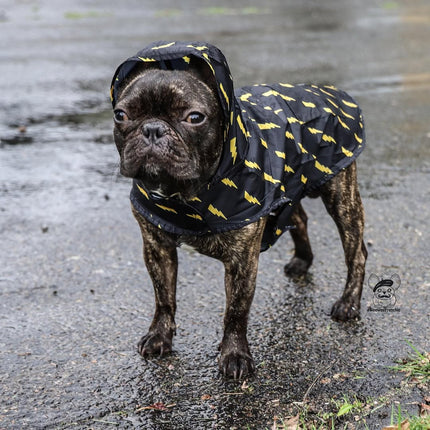 Pawgwarts Poncho – Rainwear with Leash Slit & Back Pocket