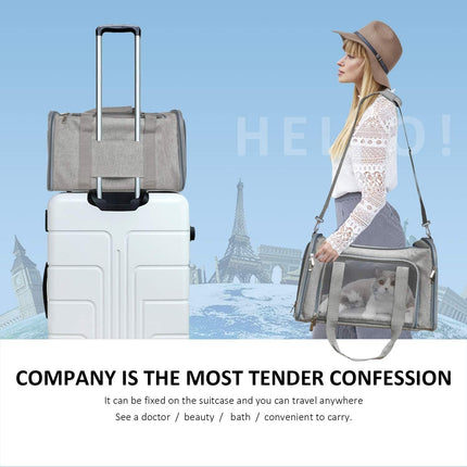 Woman with a pet carrier and suitcase with Eiffel Tower in the background