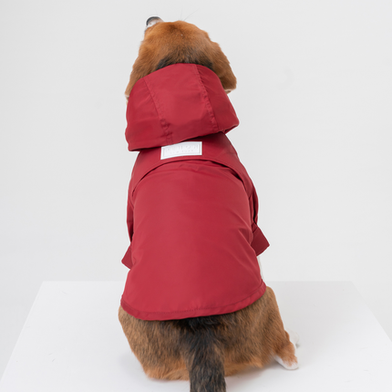 Dog wearing a burgundy raincoat on a white background with text indicating size and weight.