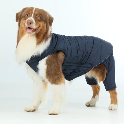 Dog wearing a blue jacket on a white background