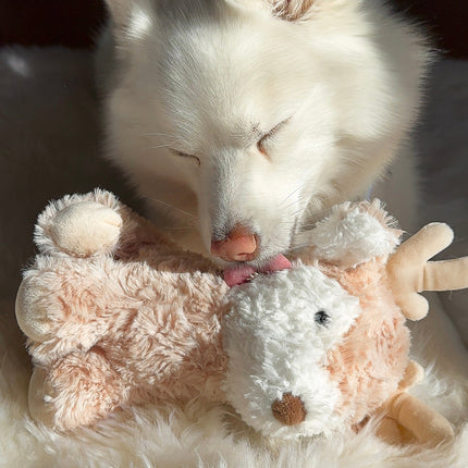 White dog snuggling with a deer plush toy