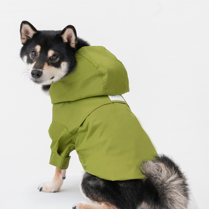 Dog wearing a olive raincoat on a white background
