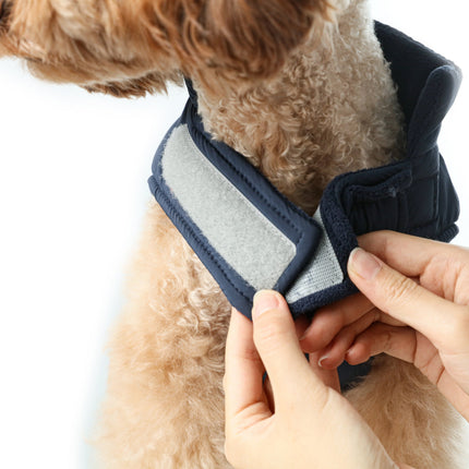 Person adjusting a blue and gray pet collar on a dog's neck.