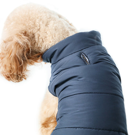 Dog wearing a blue winter coat on a white background