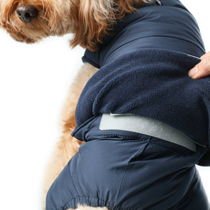 Dog wearing a navy blue coat with a white background
