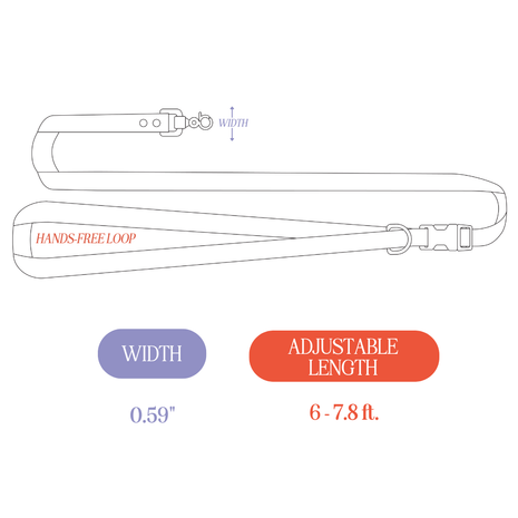 Diagram of a dog leash with labeled features on a white background