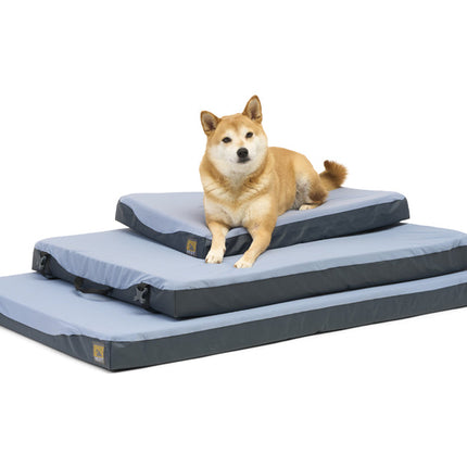 Dog lying on a stack of three pet beds with a white background