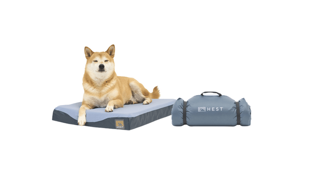 Memory Foam Adventure Pet Bed