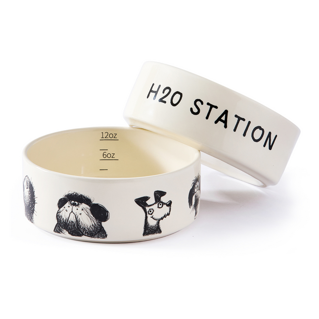 Dog bowl with 'H2O Station' text and black illustrations on a white background