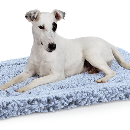 Dog lying on a blue pet mat with a white background
