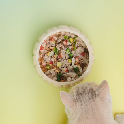 Cat looking at a bowl of food on a yellow background